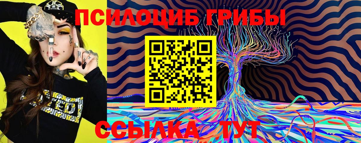 Галлюциногенные грибы GOLDEN TEACHER Александров