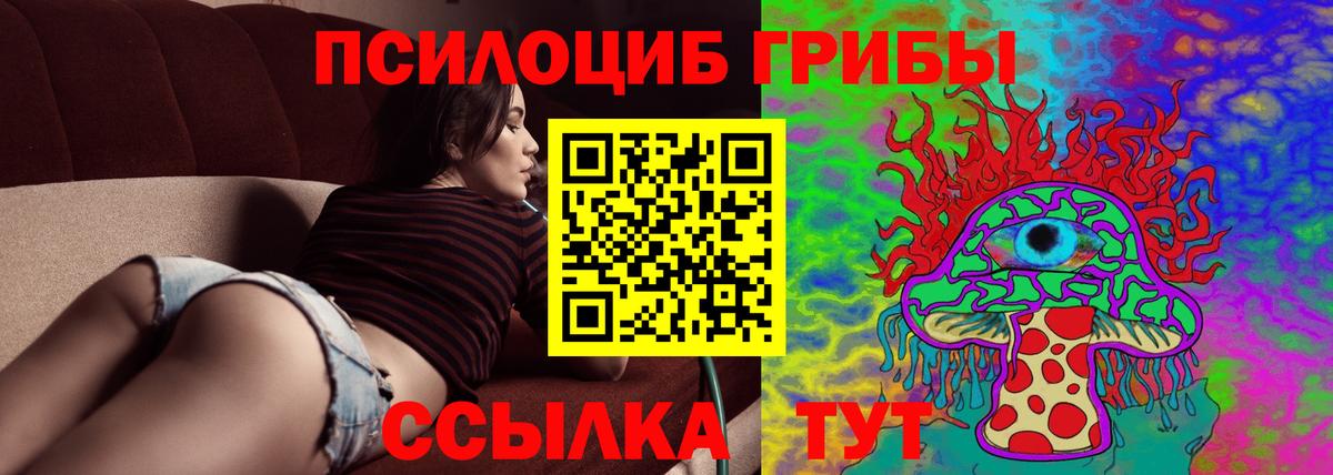 Галлюциногенные грибы мицелий  Вход с VPN  Александров 