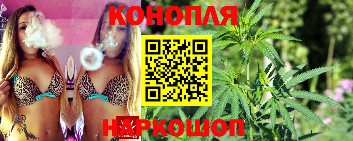 Конопля план Александров